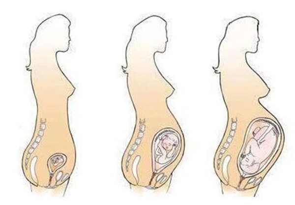 这是D啥？怀个孕咋会那么高！