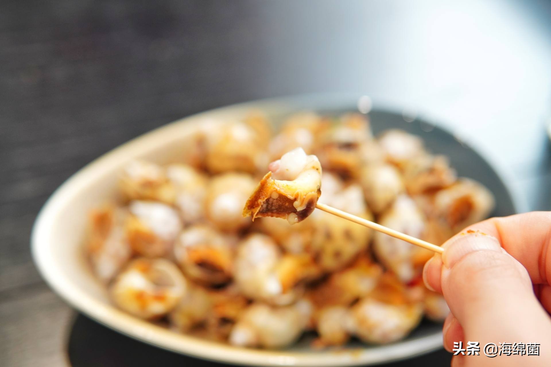 bolali博拉利多功能蒸汽料理锅,蒸汽桑拿锅测评