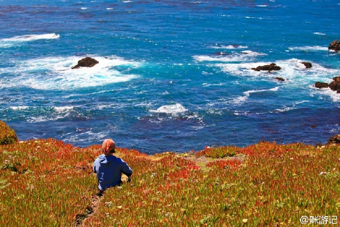加州十大景观自驾线路,加州景点打卡攻略大全