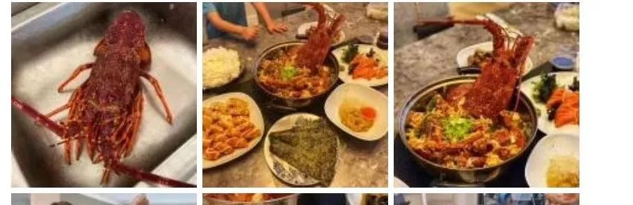 龙虾没人吃,龙虾不吃东西