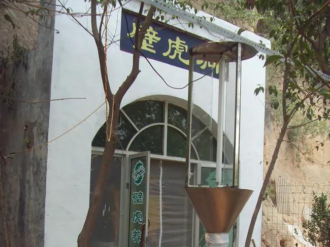 黑水虻成虫怎么养殖孵化,黑水虻养殖虫蛹孵化管理