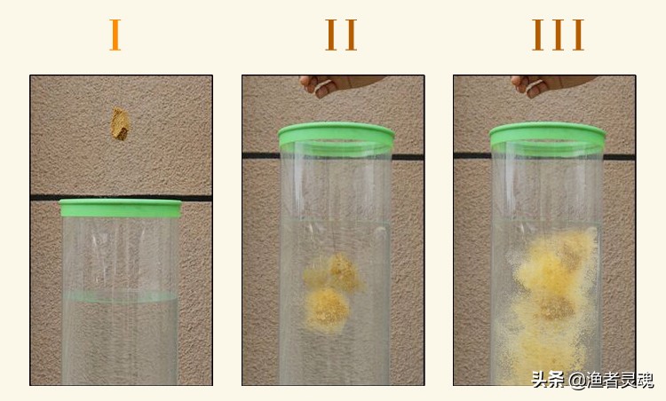 黑坑钓鲤鱼黄面面饵料配方,黑坑黄面鱼饵料配方