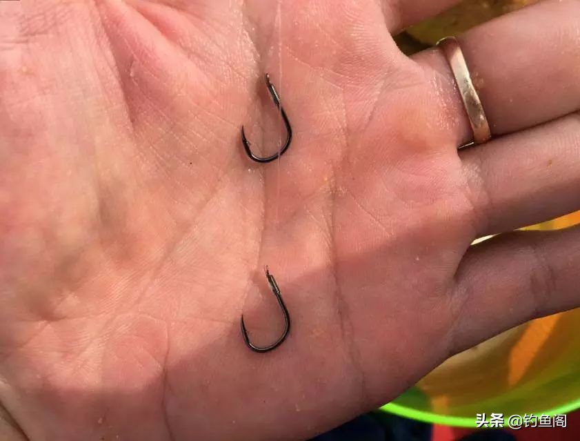 想钓鱼鱼竿推荐什么品牌,想钓鱼需要什么钓钩