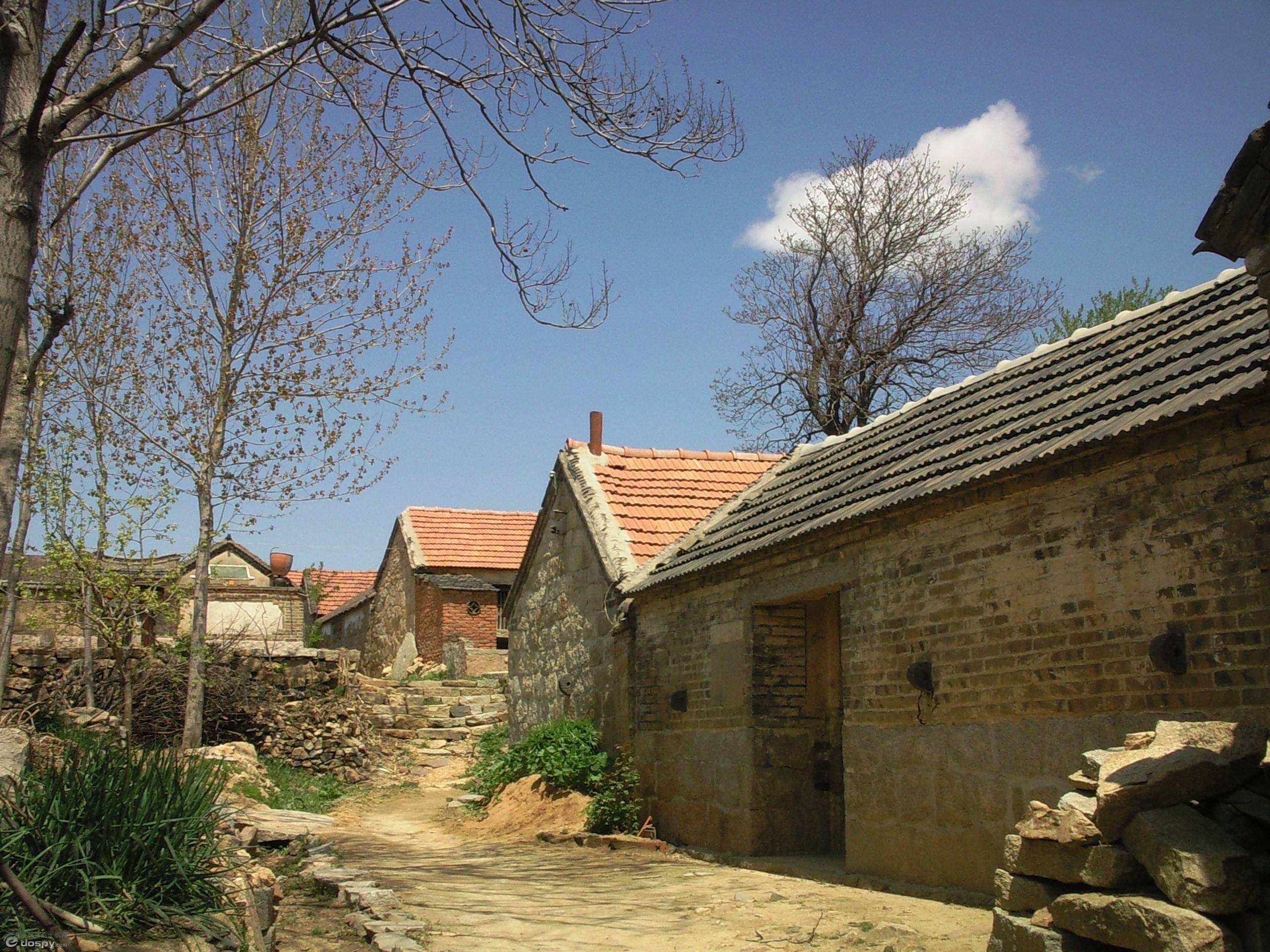 农村房屋继承最新法律政策,农村房屋继承最新政策