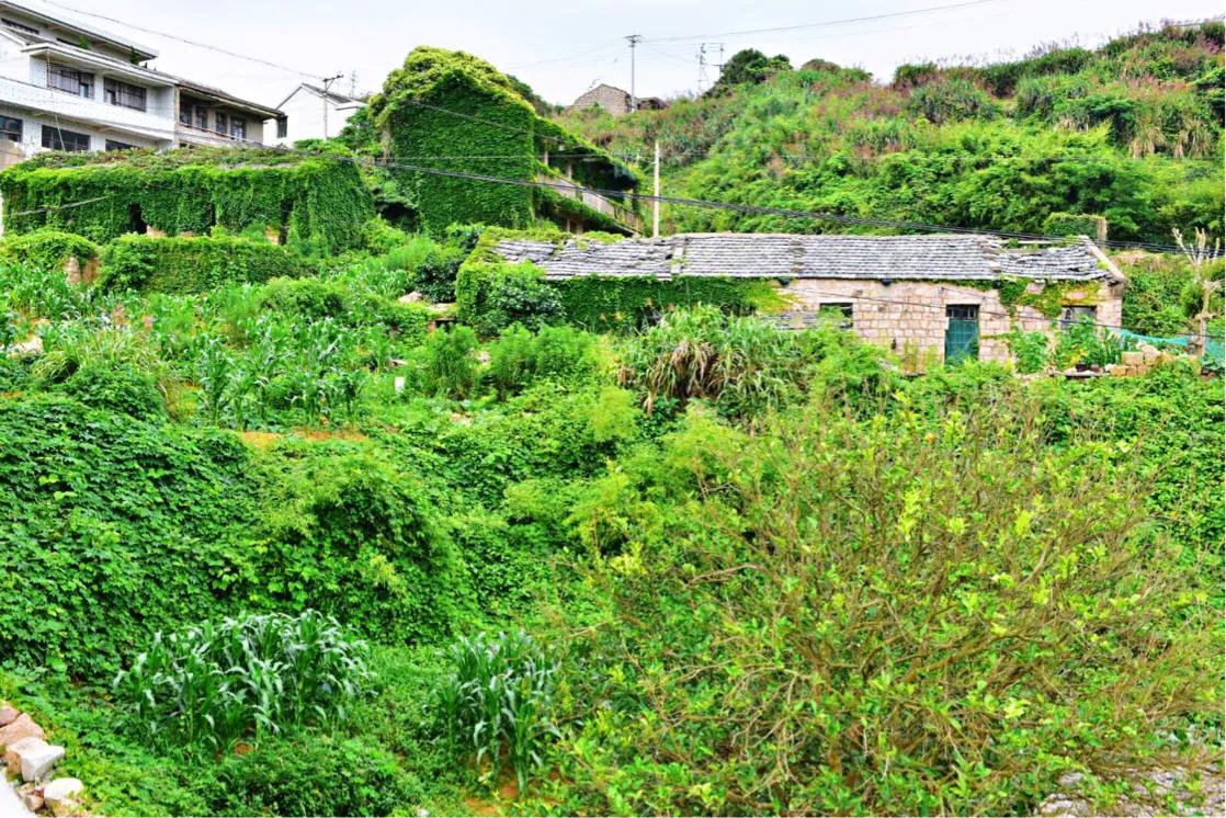 鍙版咕鍨︿竵娴峰矝,鍜屽彴婀惧灕涓佺浉浼肩殑娴峰矝