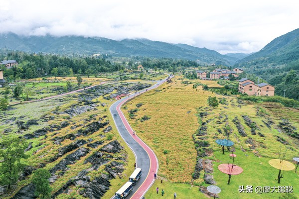 重庆这片花海你还没有来打开，那你就输了