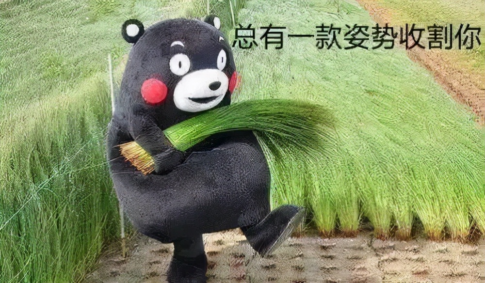 双11抢先购是什么套路,双11活动半价购买是什么情况