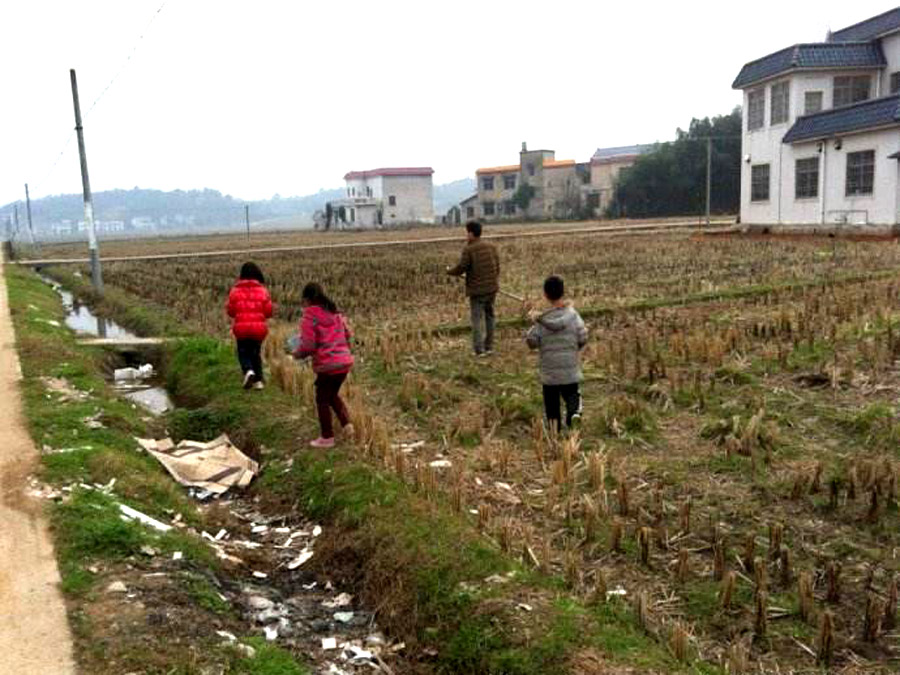 乡愁是捉泥鳅的田野,乡愁做泥鳅