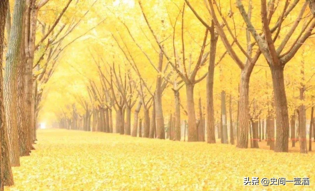 孙权是江苏人还是浙江人,三国东吴孙权出生地