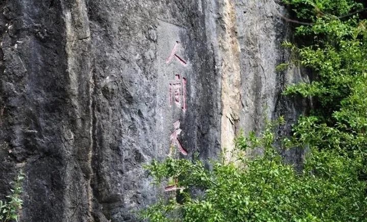 云品出滇入鲁,云品出滇简介