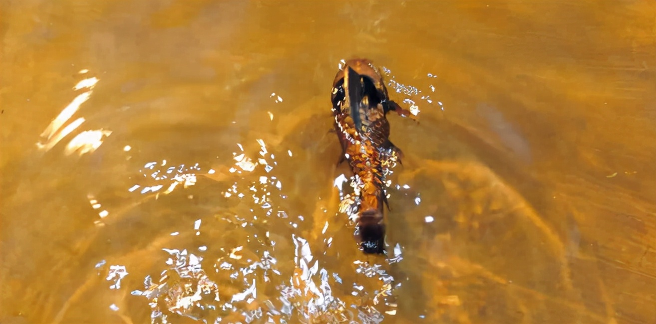 魔改西游五毛特效,十大超烂抠图特效盘点