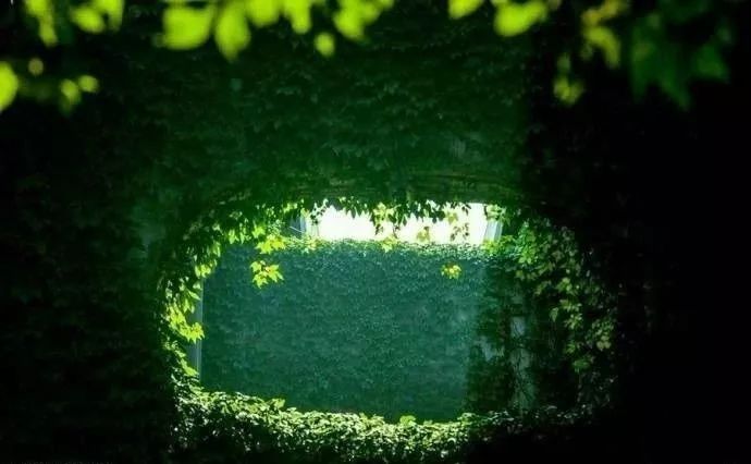 成都二环绿化,成都二环绿植视频