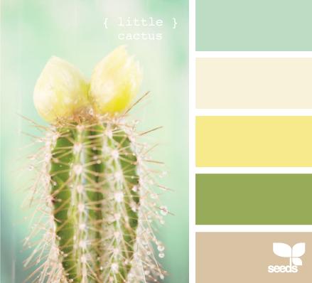 小清新风海报排版,怎么做波普风格海报