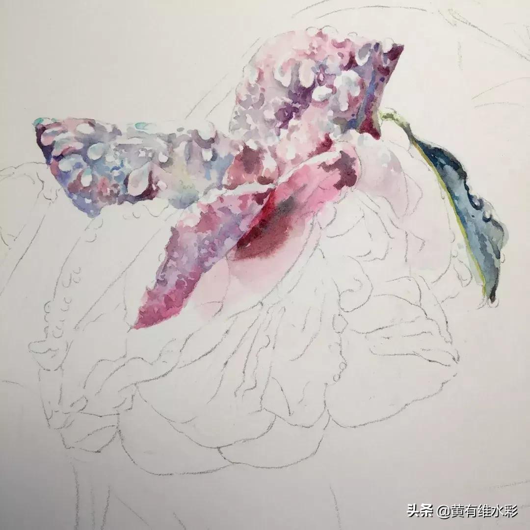 小清新水彩画玫瑰花,水彩画雨中玫瑰