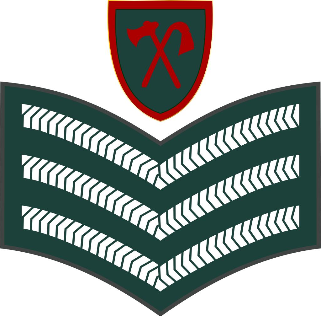 西亚各国军衔,各国军衔标识坦桑尼亚