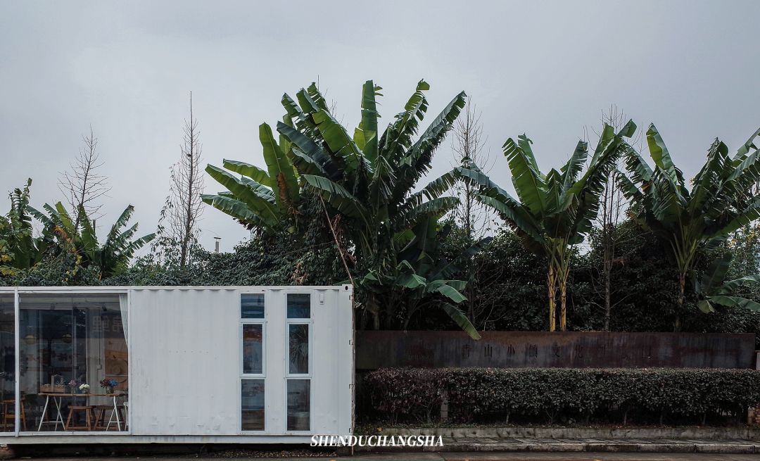 长沙秋季旅游景点推荐,长沙旅游攻略必玩的十大景点推荐