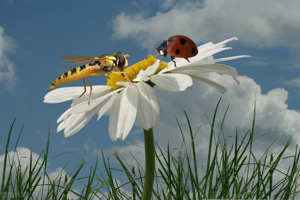 七年级下册英语仁爱版topic3单词,仁爱英语七年级下册8.2短语句型