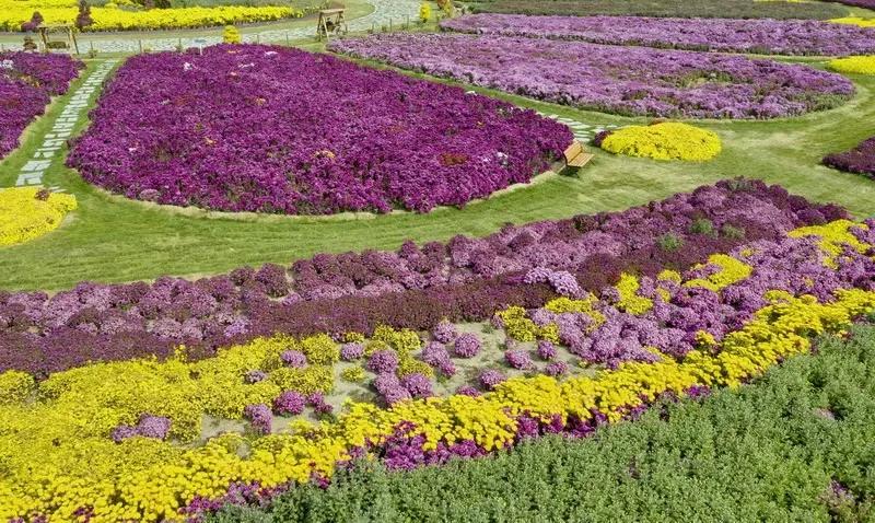 胜日寻芳泗水滨图片,胜日寻芳泗水滨的下一句是