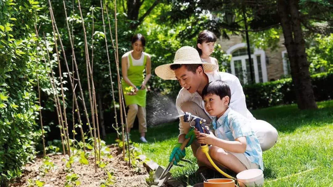 恩平花海世界研学活动,恩平花海欢乐世界研学之旅作文