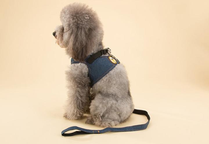 发了情的泰迪选哪种布娃娃,泰迪狗得什么病最可怕