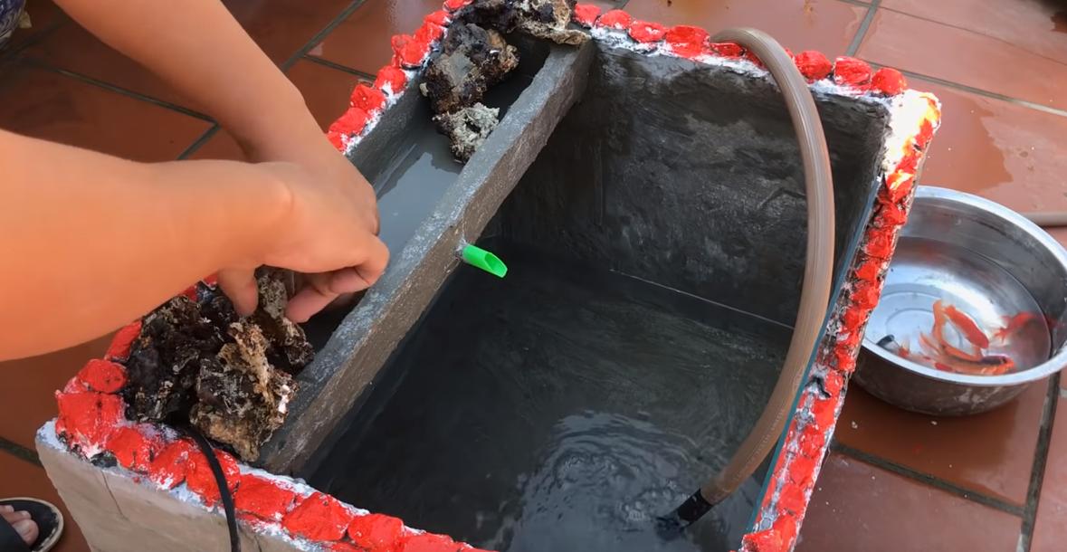 在家自做泡沫箱鱼缸,泡沫箱制作鱼缸养鱼