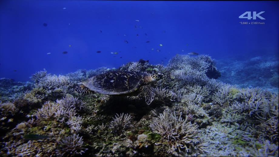 家庭4k电视推荐,松下jx560电视测评