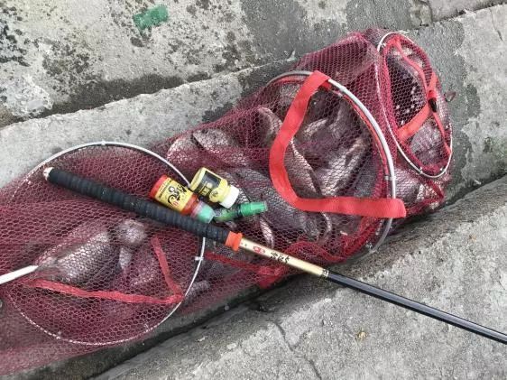 友人相约-本汀七迦爽爆竿