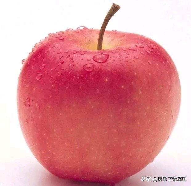 好好的苹果里面怎么烂了,苹果有虫