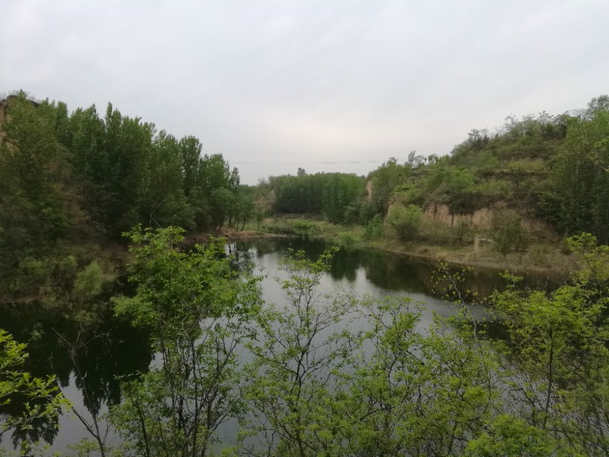 郑州树木园最新视频,郑州树木园现状