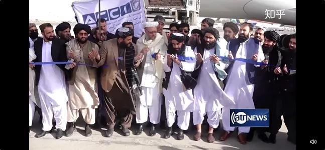 王冰冰李佳琦阿富汗松子,李佳琦王冰冰卖松子