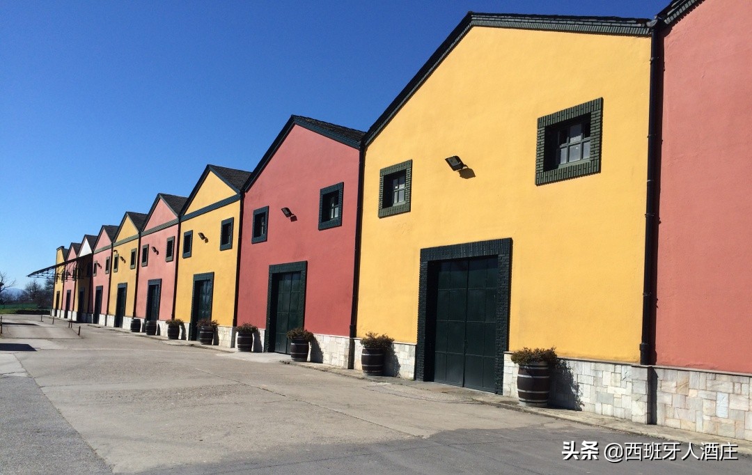 走进葡萄酒专卖店,走进葡萄酒庄园视频