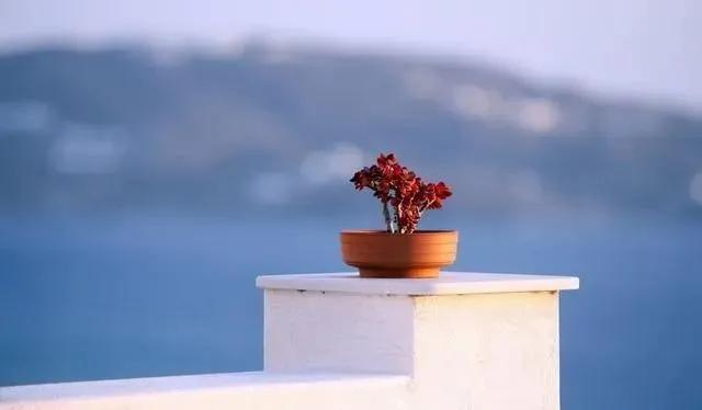 静是一种力量一种福气,西双版纳这边旅游