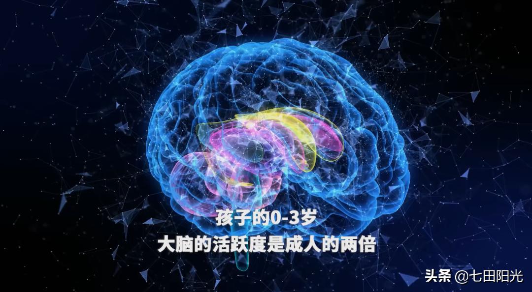 七田阳光大孩子教什么,七田阳光对孩子有用吗