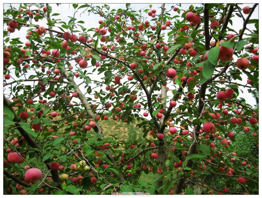 高中生可以谈恋爱吗辩论,高中生谈恋爱怎么沟通