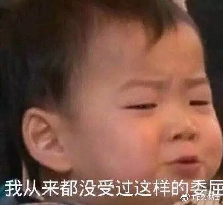 猫咪与自家小猫相处之道,怎么吸引猫咪让猫咪一直在你身边