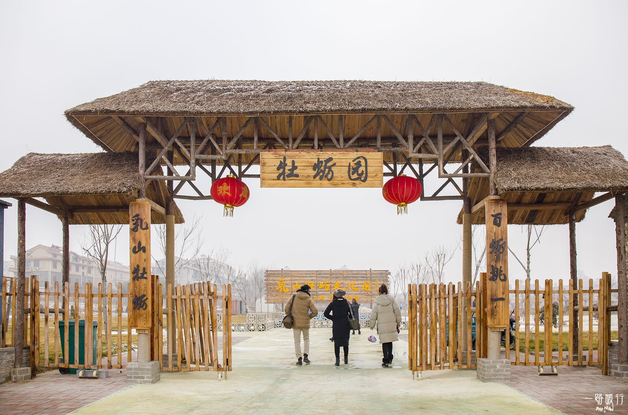 野生牡蛎王,海边野生牡蛎