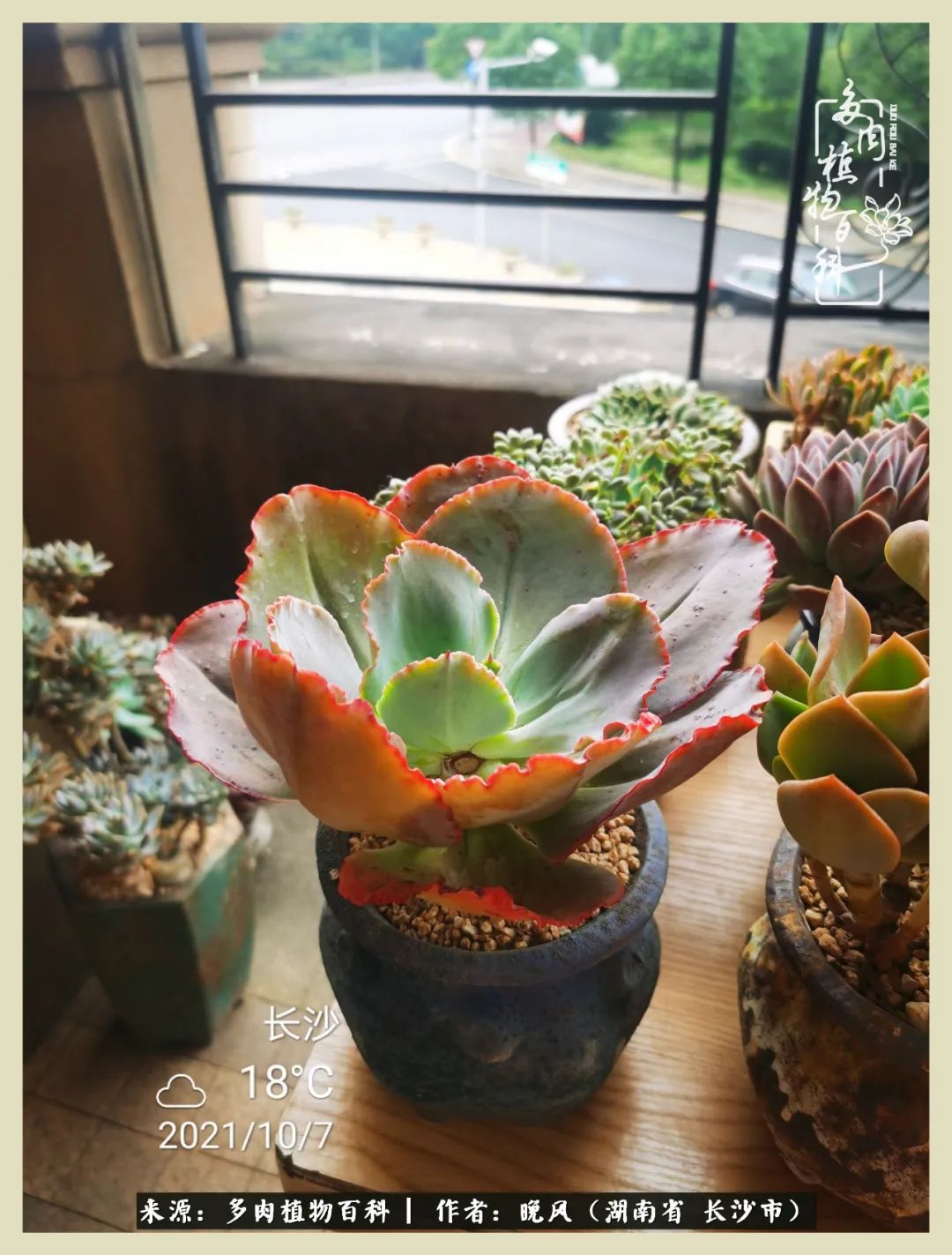 摇身一变成了奶爸,摇身一变成为打工人