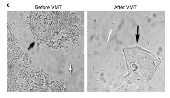 医药新闻最新,2019医药新闻热点