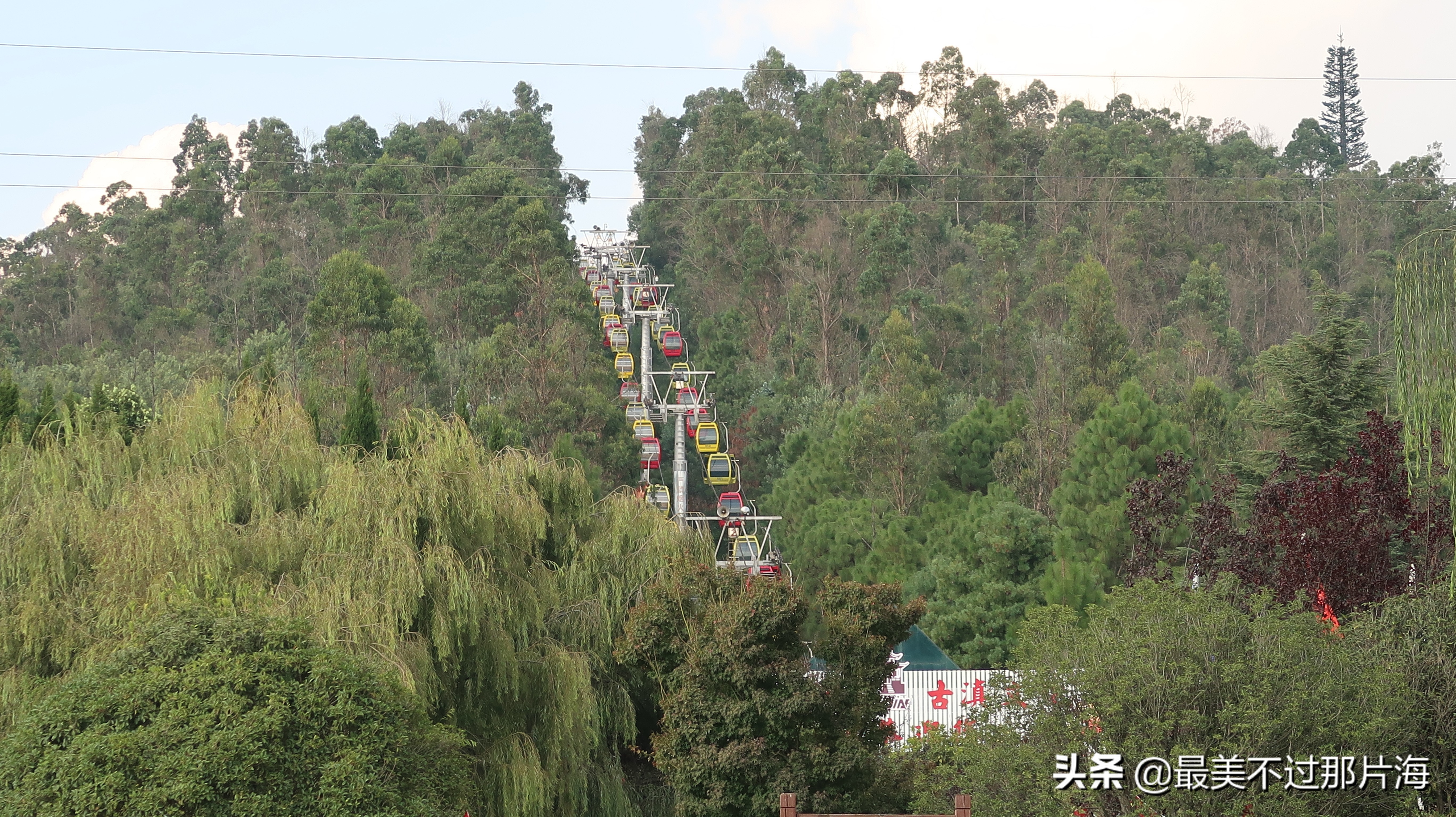 昆明世博园和云南大观园游玩攻略,昆明有个世博园四季如春好地方