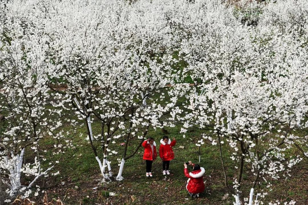 彪炳史册历史性成就,彪炳峨边脱贫攻坚史册