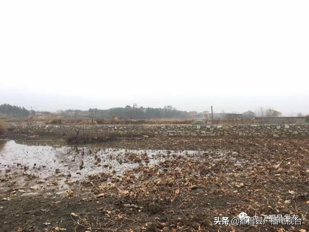 传家规立家训扬家风,传家训扬家风文化