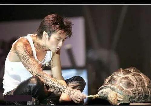 王源王俊凯易烊千玺唱波斯猫,ella谈千玺