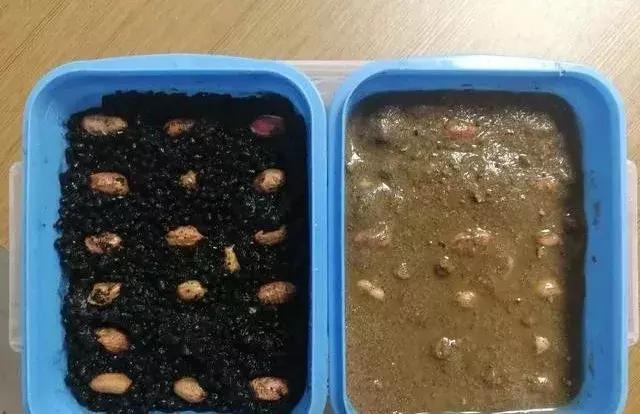 花生壮苗开花结果多,花生弱苗喷什么能壮苗