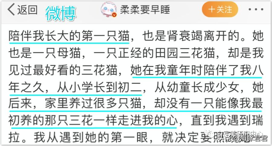 北京小公主靠吸猫血成百万大V,直播整容、大照骗、2年养死3只猫
