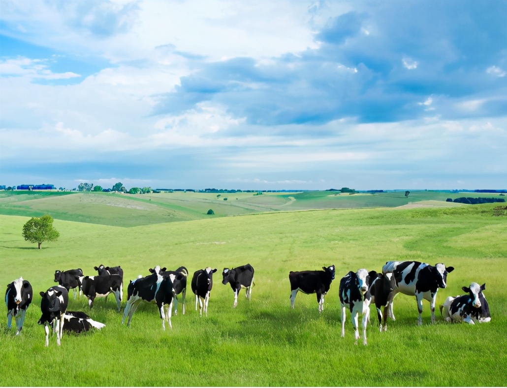 国产奶粉哪个品牌好？太子乐发来的履历，令人心动
