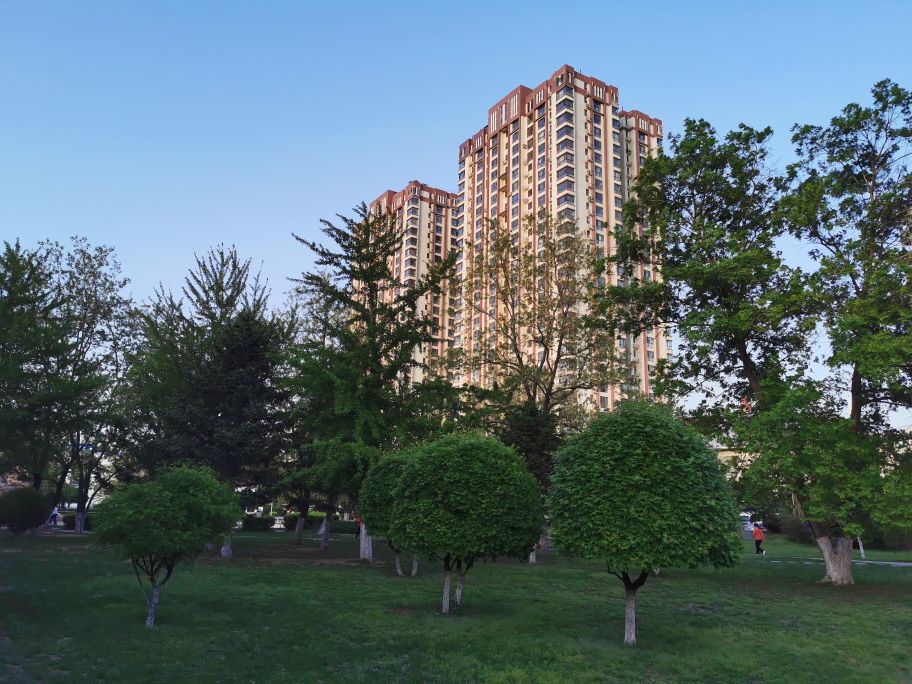 娌堥槼寮犲＋濂夎揪鍏洯,娌堥槼濂夎揪鍏洯