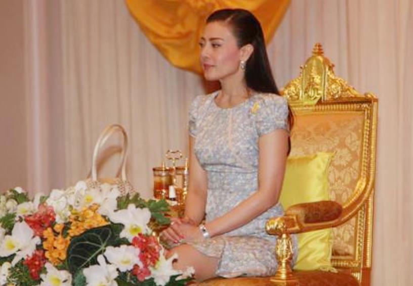 西拉米年轻照片女,西拉米年轻有多美