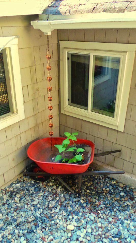 国外房子不装雨水管,只挂一根雨链就可以排水,而且快