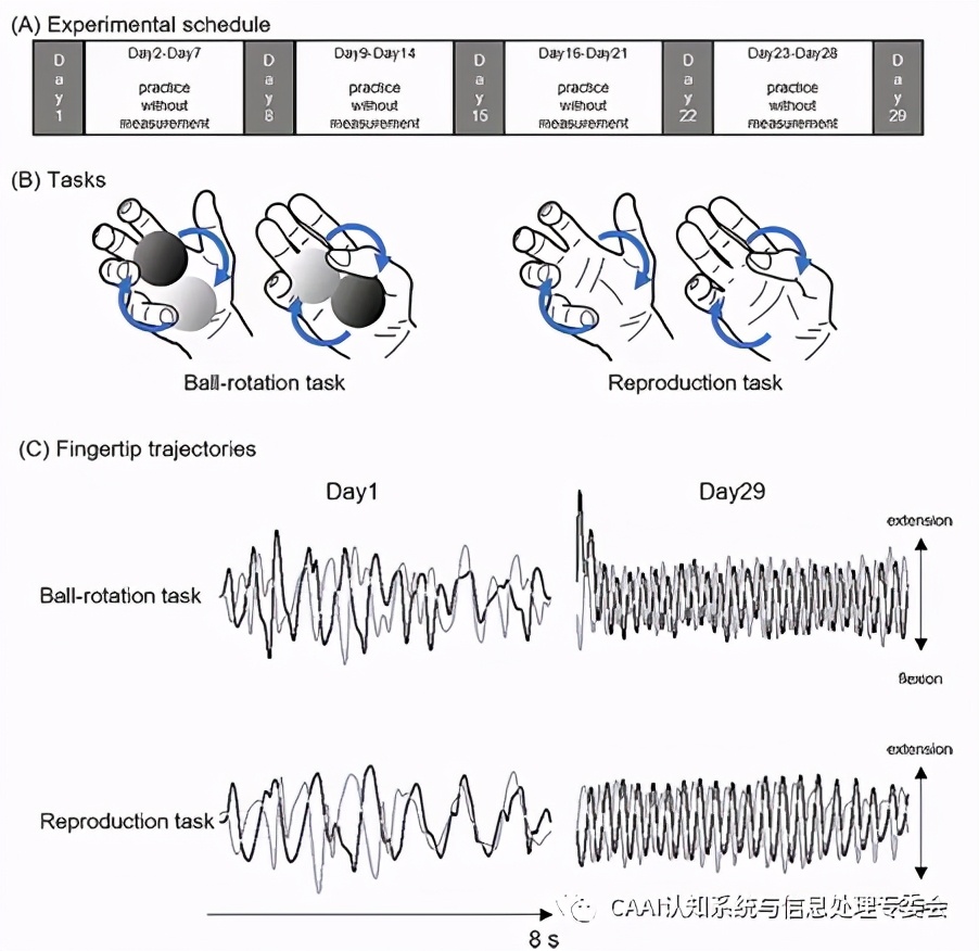 脑科学日报完整版,脑科学疗法