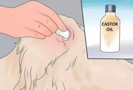 狗狗身上瘊子怎么去除,狗狗身上的斑点怎么去除